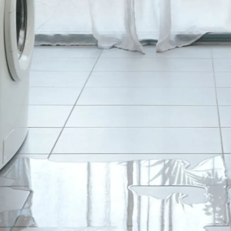 Appliance Leak Cleanup in Stearns County, MN