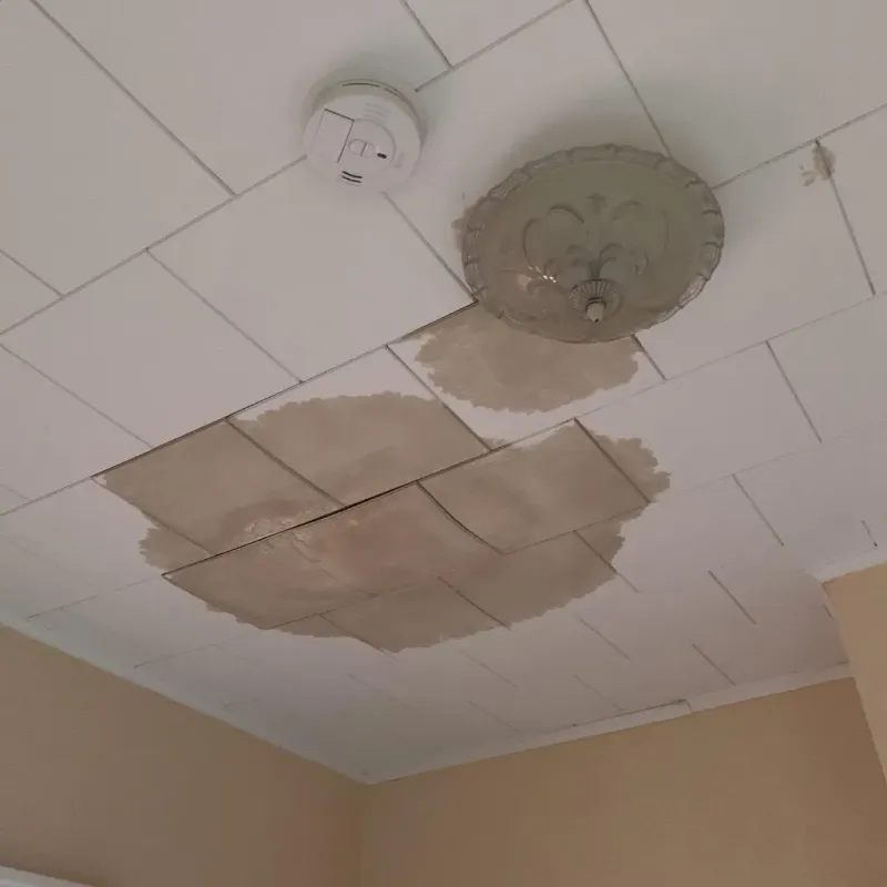 Ceiling Water Damage Repair in Stearns County, MN