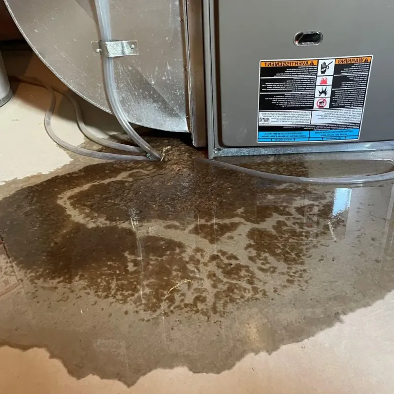 Pipe Burst and Leak Restoration in Stearns County, MN