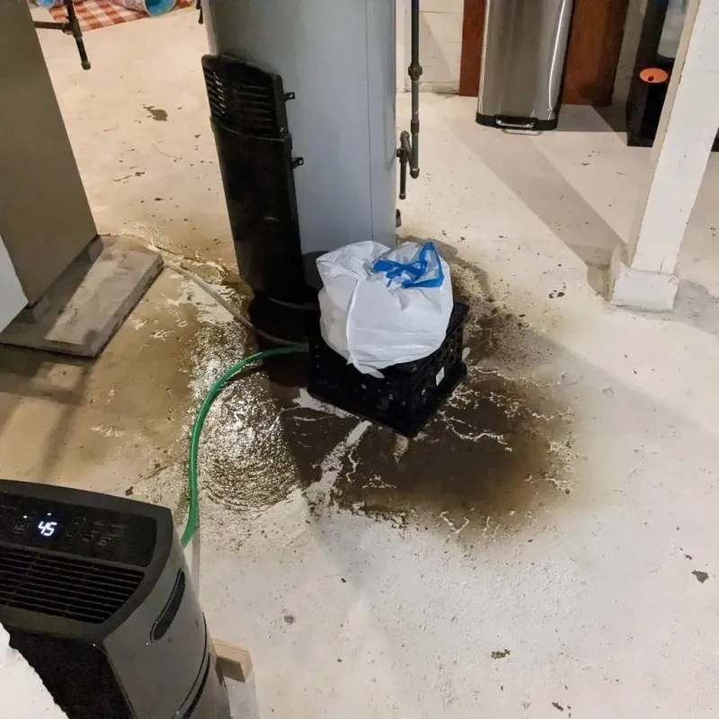 Sewage Backup Cleanup Service in Stearns County, MN